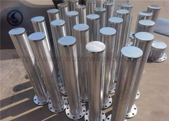 Filtro Johnson Wire Screen Stainless Steel 304 dal candeliere della flangia
